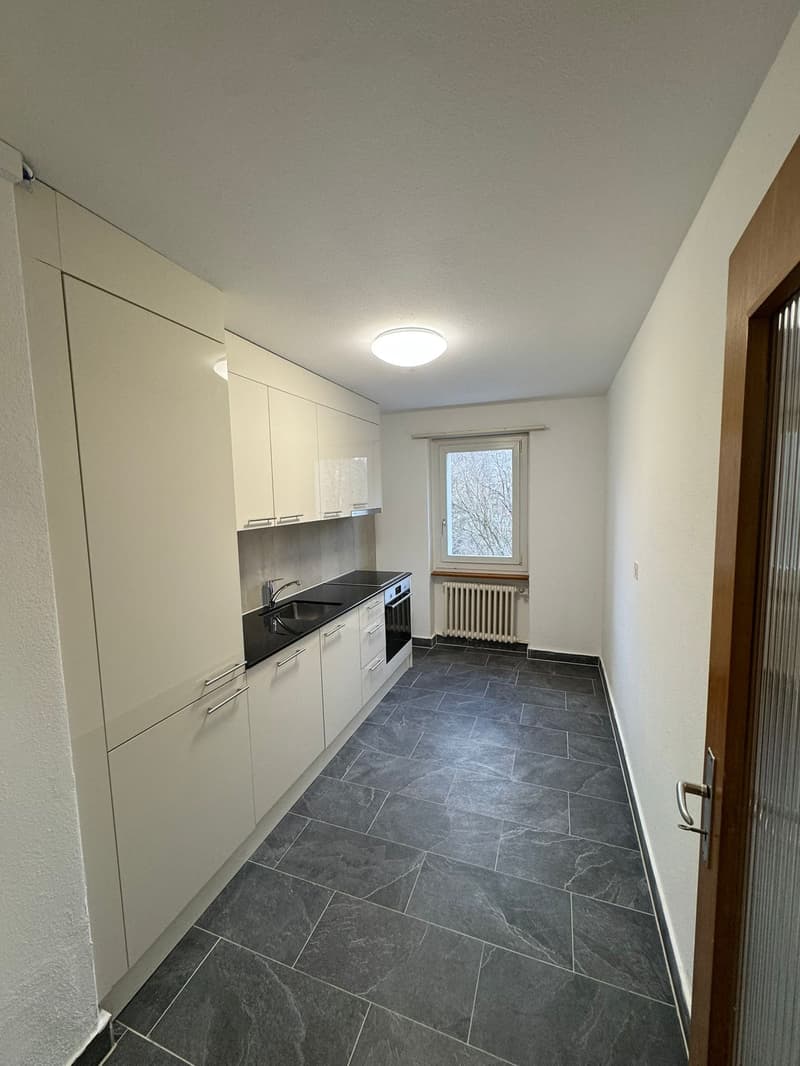 Grande appartamento familiare di 3.5 locali Spazioso, luminoso e ben situato! (2)