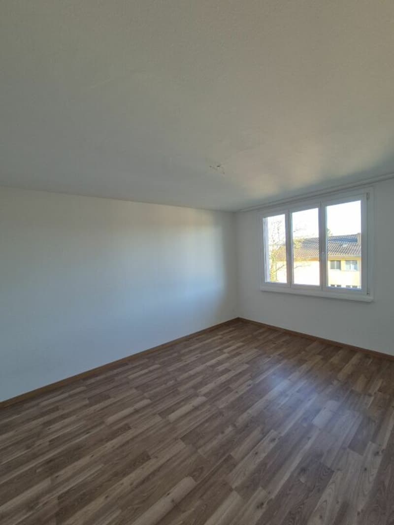 Bel appartement 2.5 pièces dans un quartier calme (5)