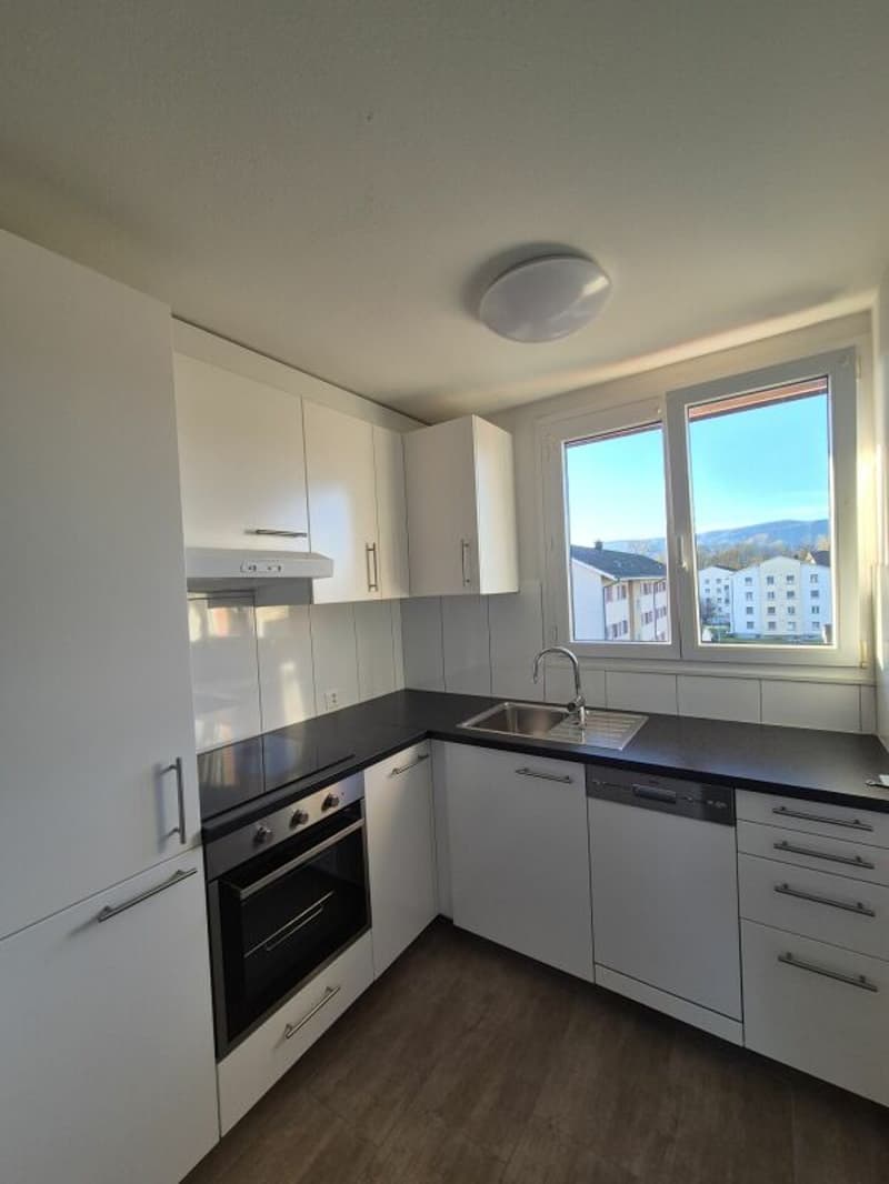Bel appartement 2.5 pièces dans un quartier calme (2)