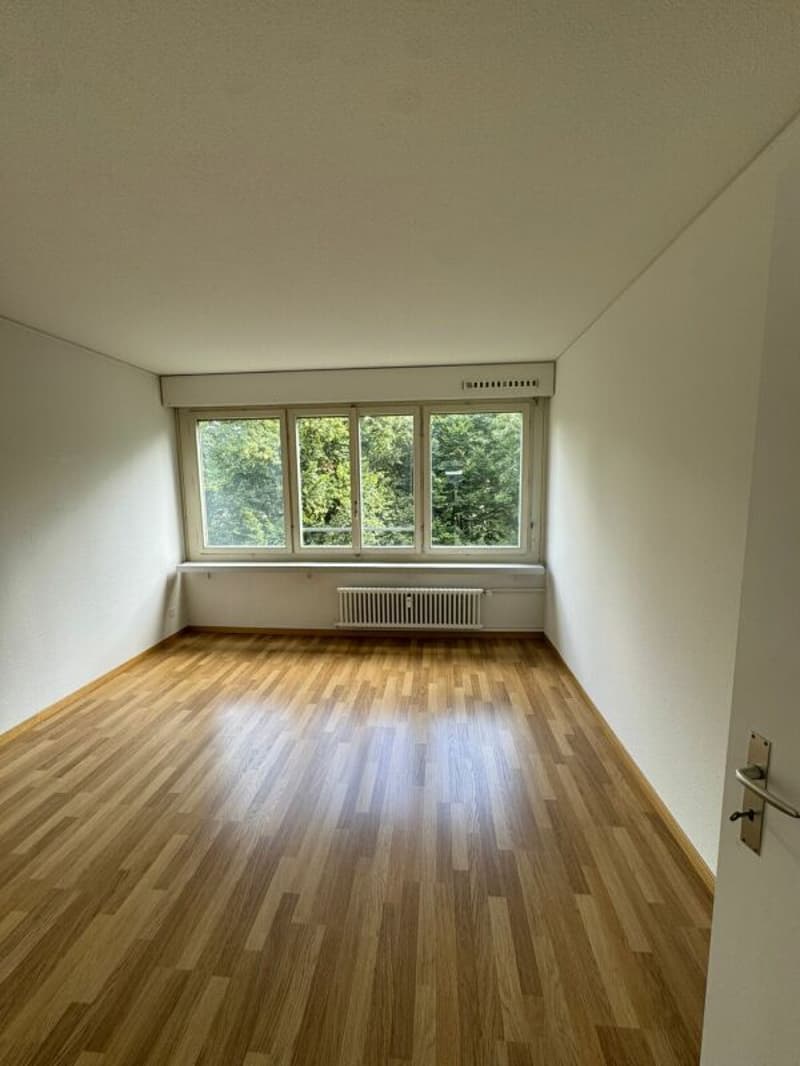 In affitto: appartamento spazioso di 3,5 locali disponibile immediatamente! (5)