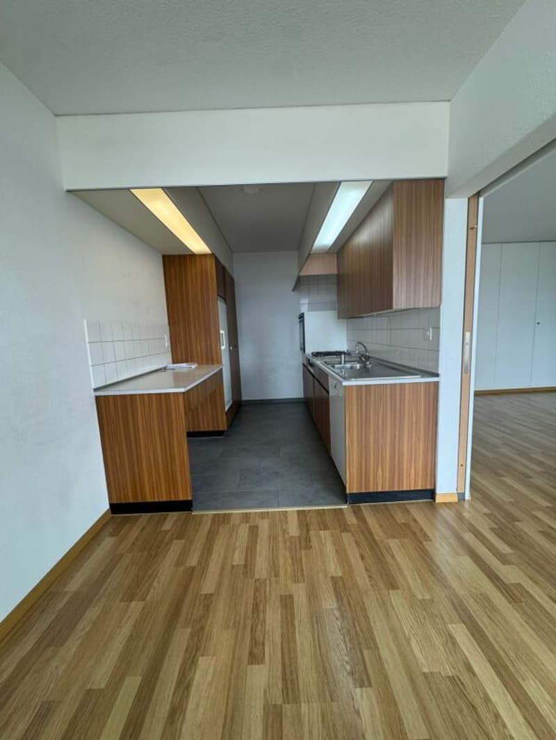 In affitto: appartamento spazioso di 3,5 locali disponibile immediatamente! (9)