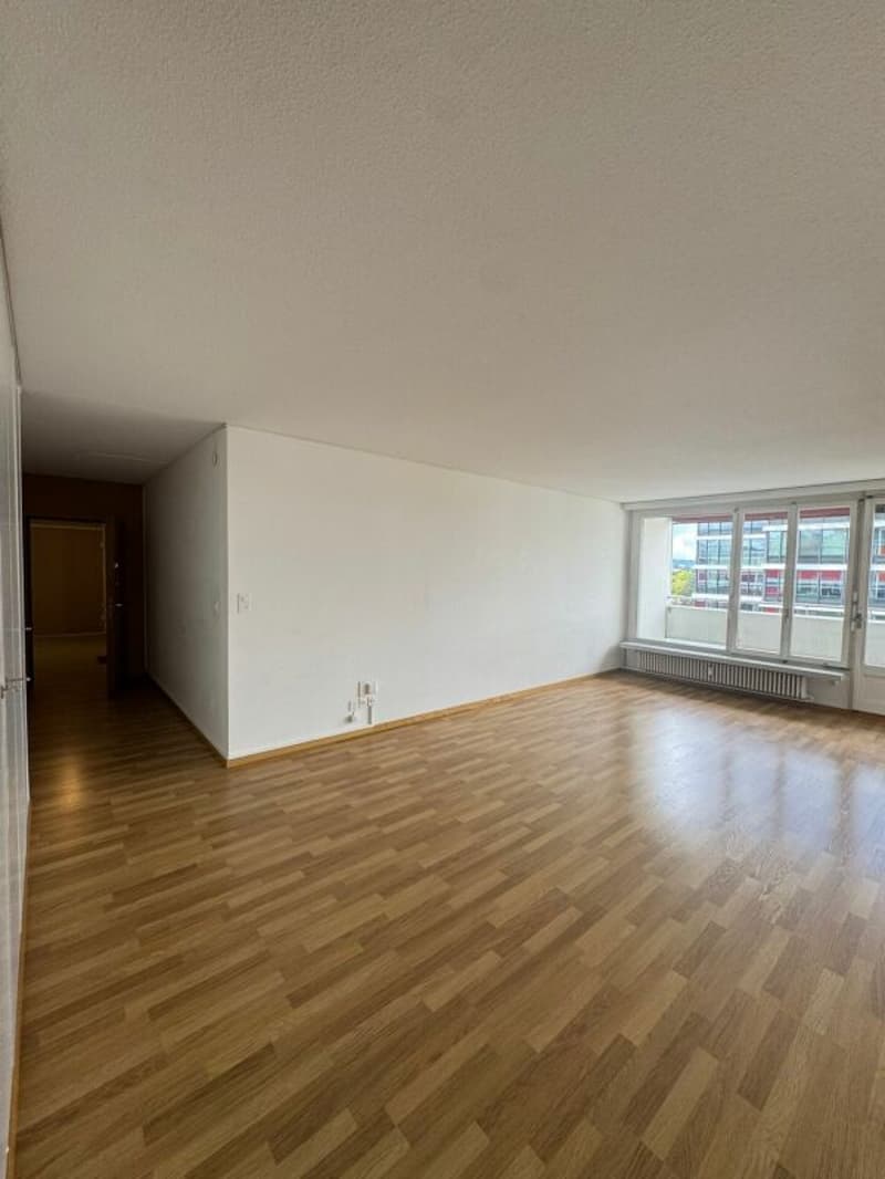 In affitto: appartamento spazioso di 3,5 locali disponibile immediatamente! (2)