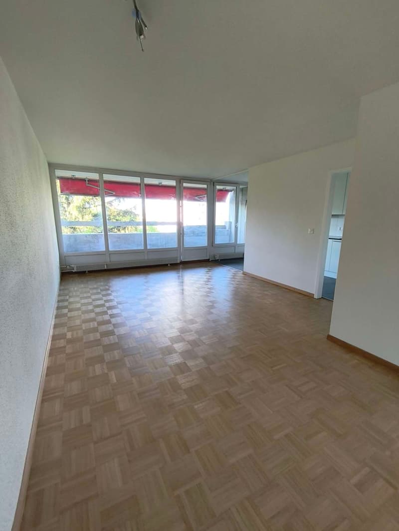empty room, wooden parquet floor, large windows, balcony