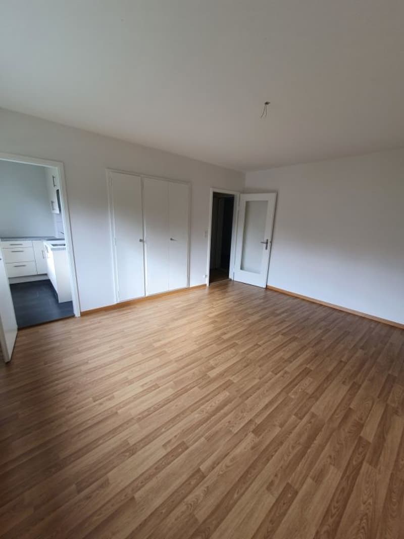 Beautiful 1-room apartment in Olten (3)