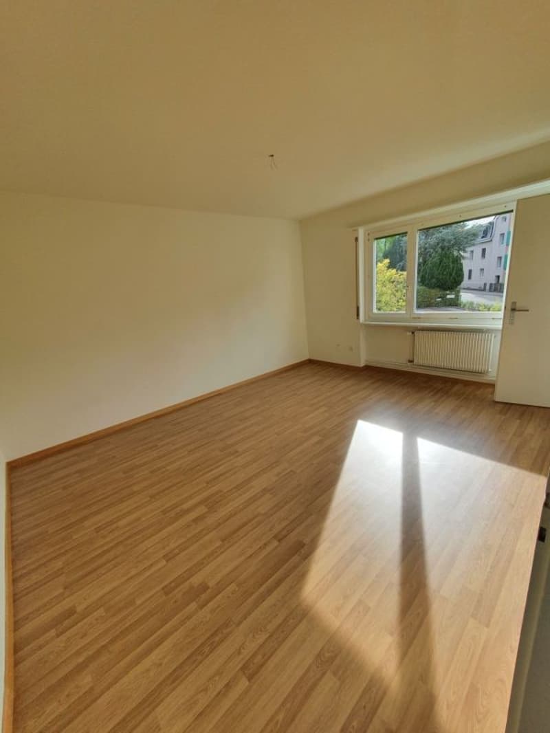 Beautiful 1-room apartment in Olten (2)