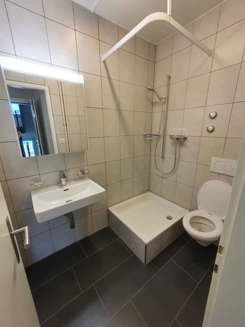Beautiful 1-room apartment in Olten (6)