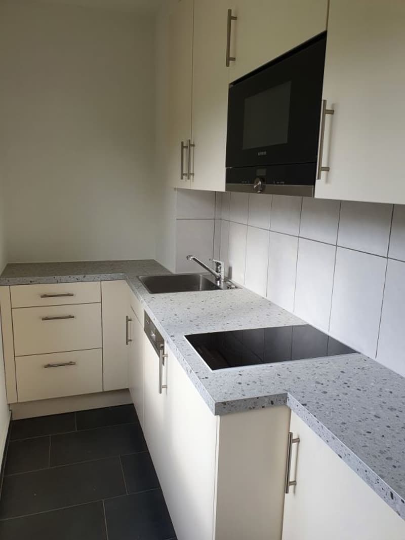Beautiful 1-room apartment in Olten (5)