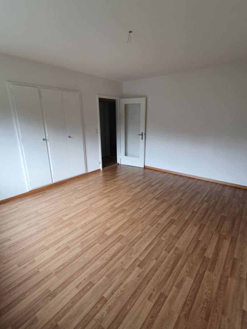 Beautiful 1-room apartment in Olten (4)