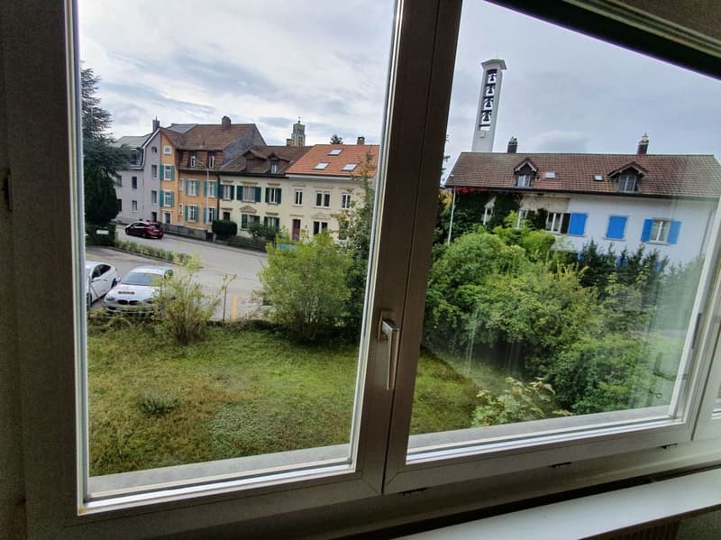 Beautiful 1-room apartment in Olten (7)