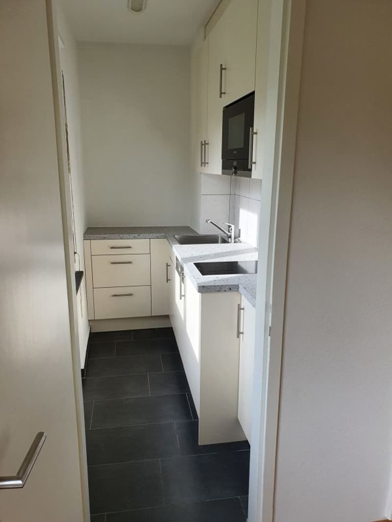 Beautiful 1-room apartment in Olten (1)