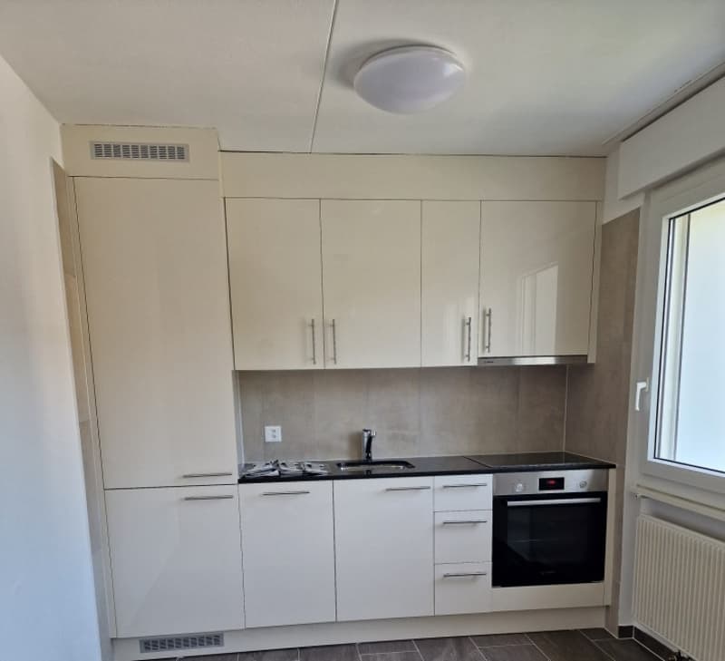 Vista impareggiabile! Bellissimo appartamento di 2,5 locali a Friburgo (1)