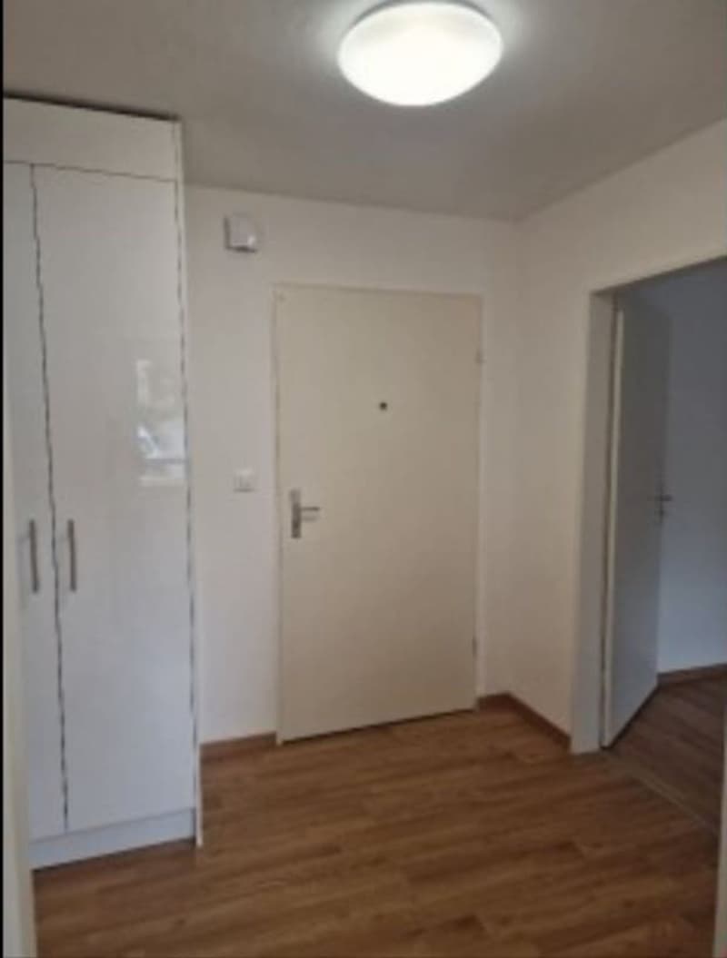 Vista impareggiabile! Bellissimo appartamento di 2,5 locali a Friburgo (3)