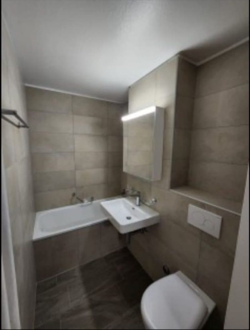 Vista impareggiabile! Bellissimo appartamento di 2,5 locali a Friburgo (5)