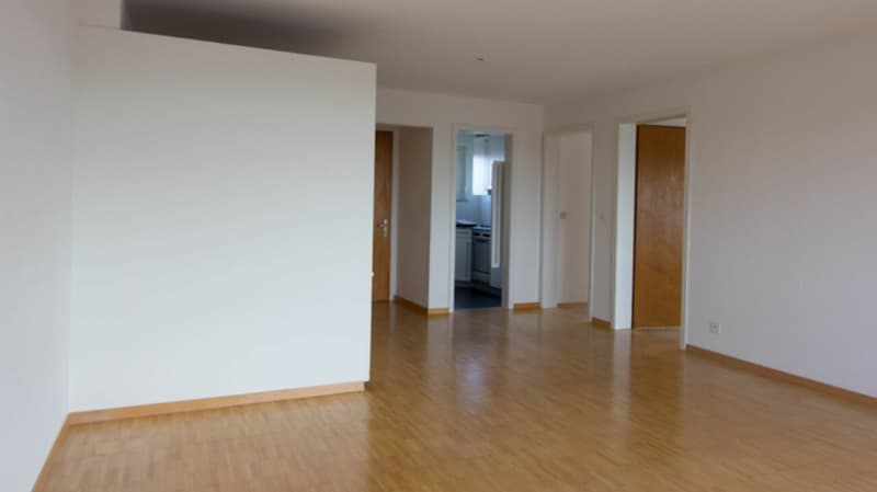 Central apartment (2)