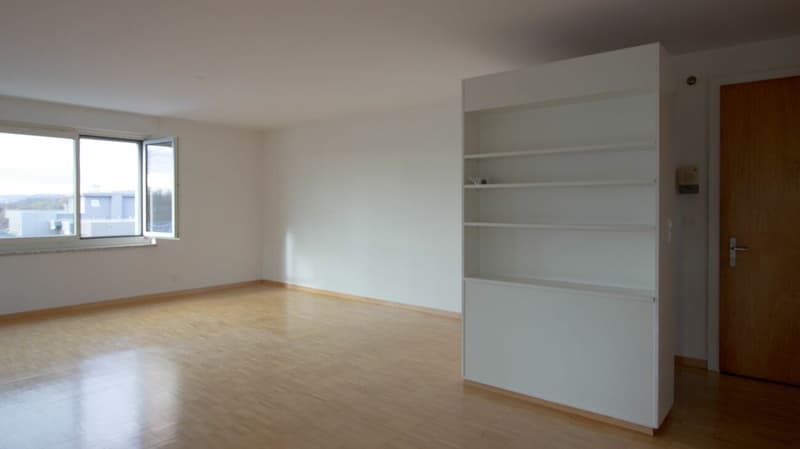 Central apartment (3)