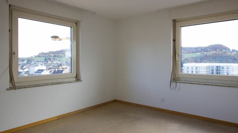 Central apartment (8)