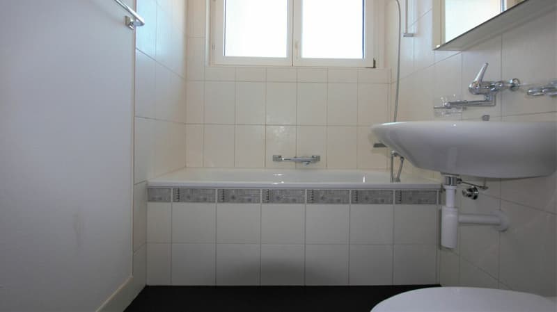 Central apartment (4)