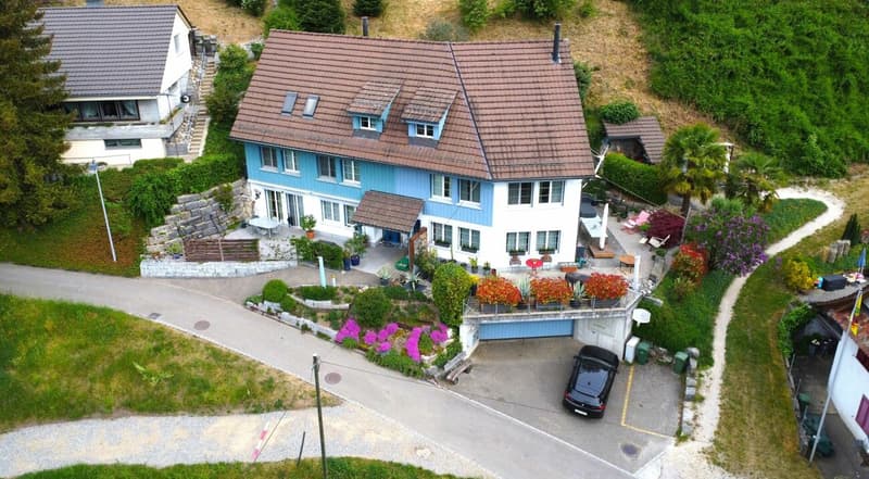 Detached double-family house with studio; plenty of space to live (15)