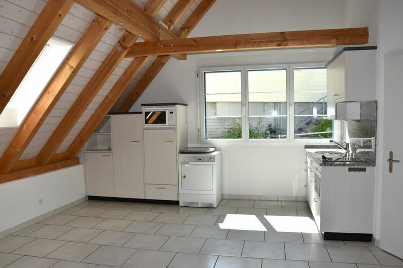 Detached double-family house with studio; plenty of space to live (13)