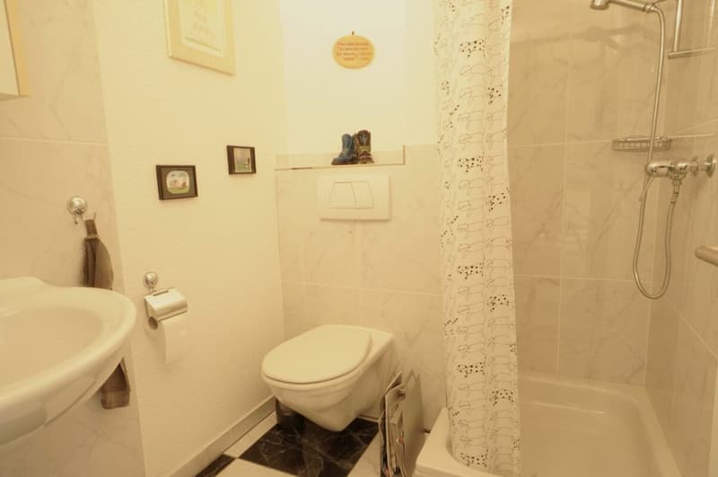 Detached double-family house with studio; plenty of space to live (9)