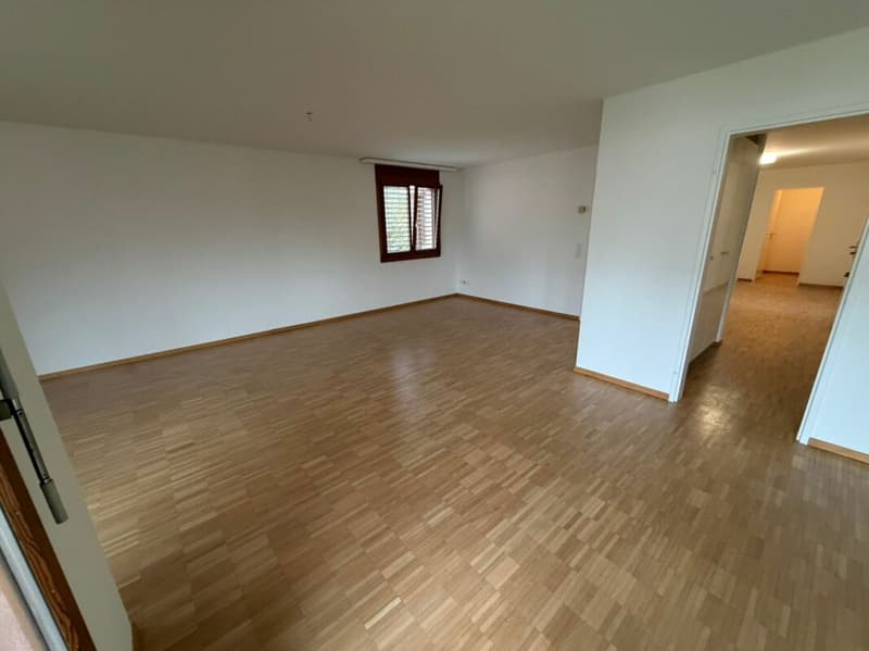 Grosse 4.5 ZWG am Bodensee (6)