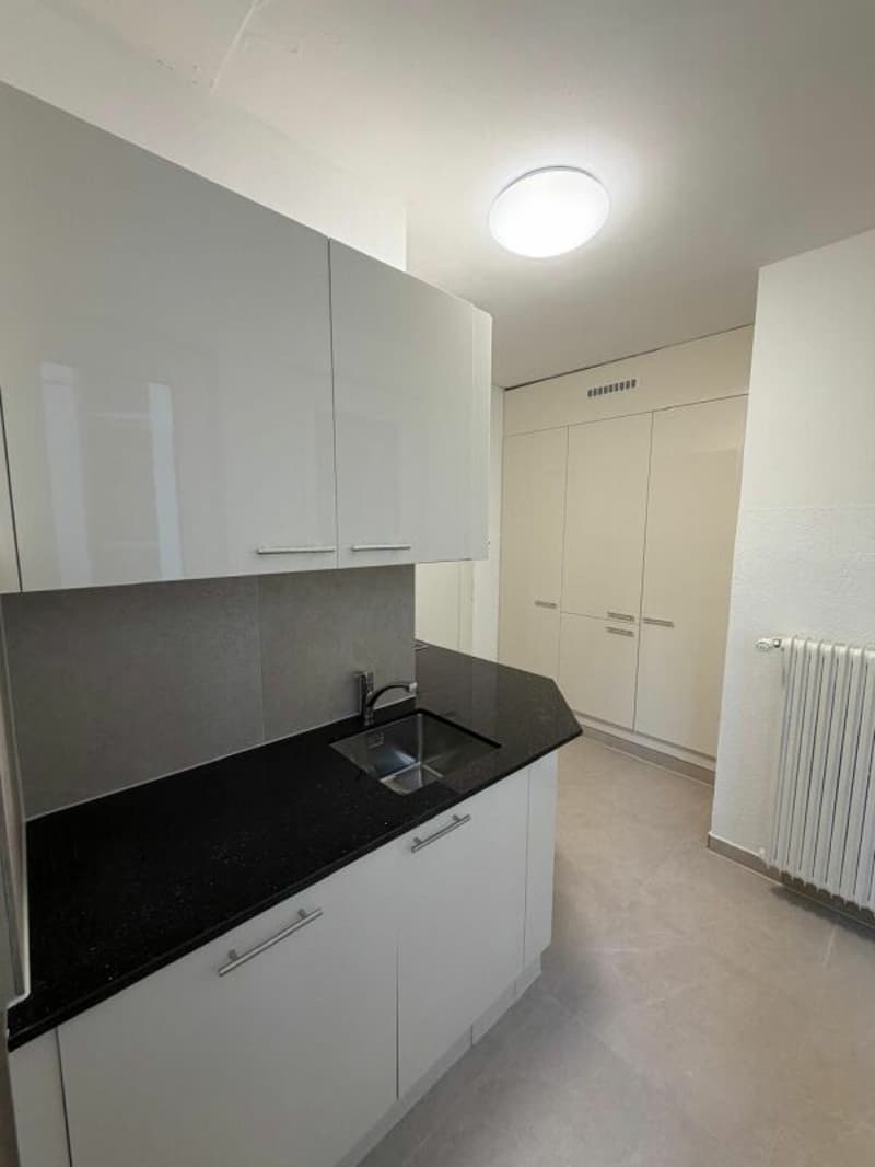 Schönes modernes 4,5-Zimmer-Apartment zur sofortigen Miete! (3)