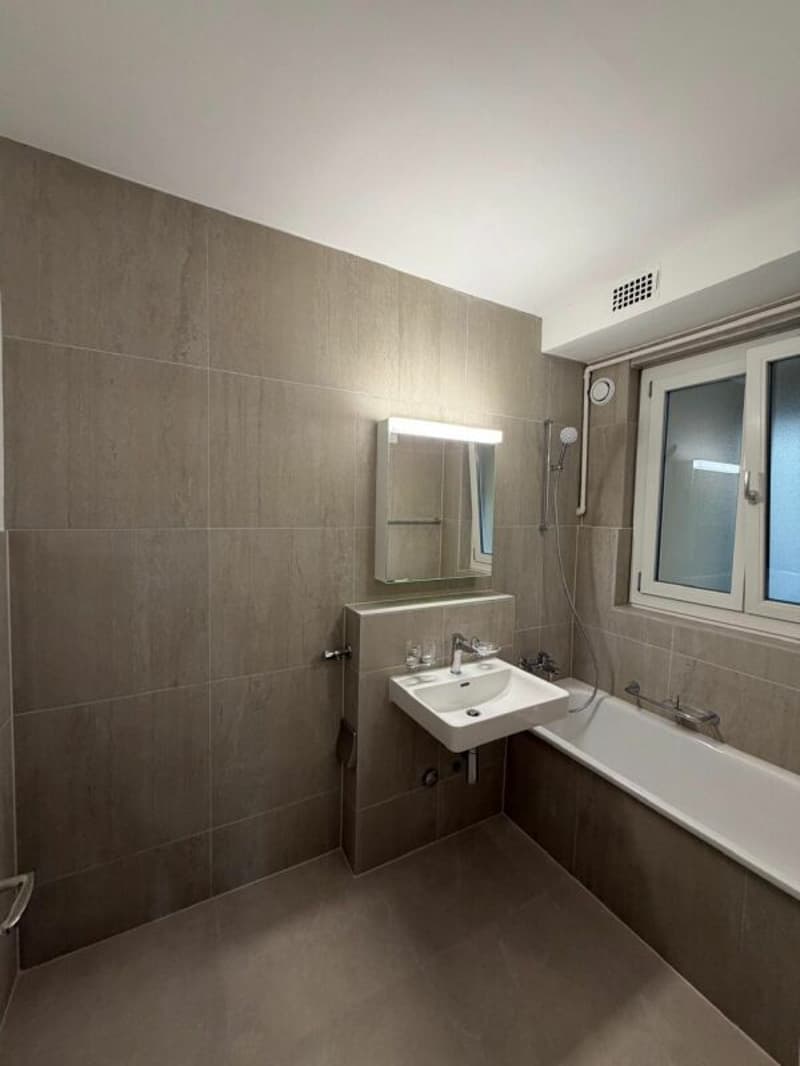 Schönes modernes 4,5-Zimmer-Apartment zur sofortigen Miete! (13)