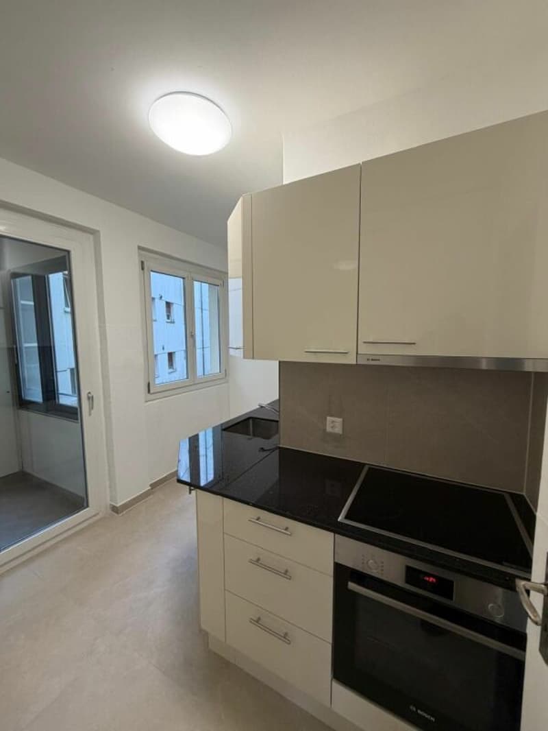 Schönes modernes 4,5-Zimmer-Apartment zur sofortigen Miete! (2)