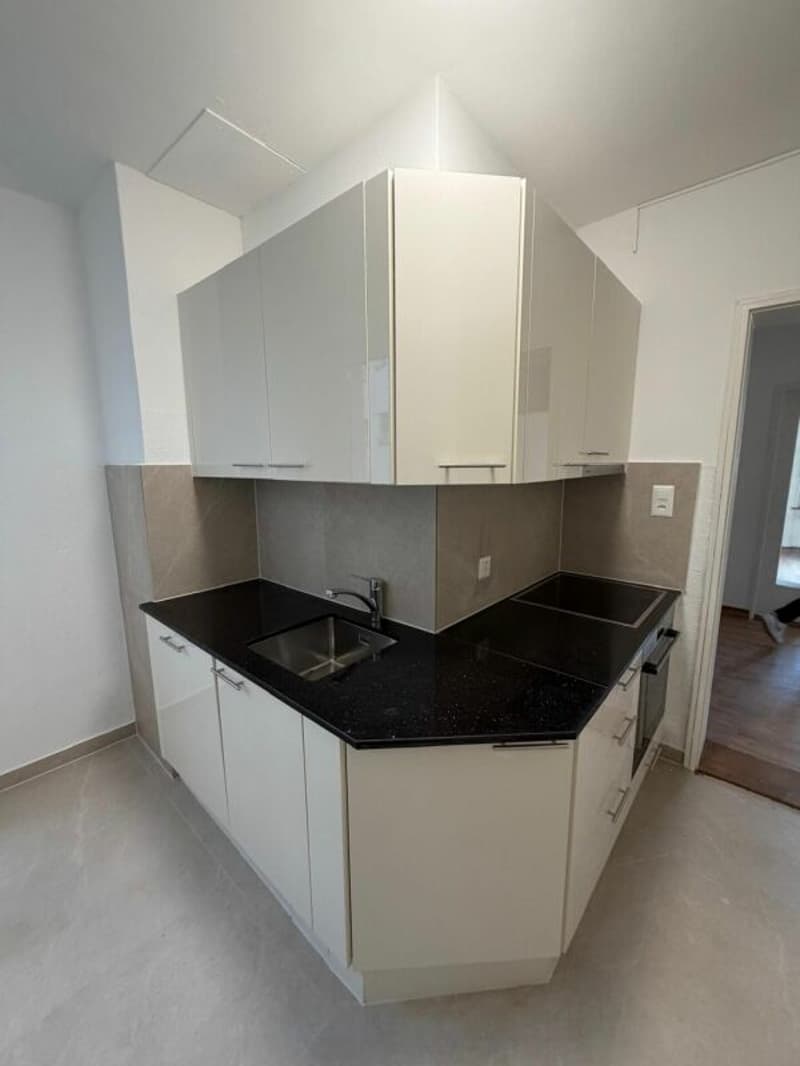 Schönes modernes 4,5-Zimmer-Apartment zur sofortigen Miete! (1)