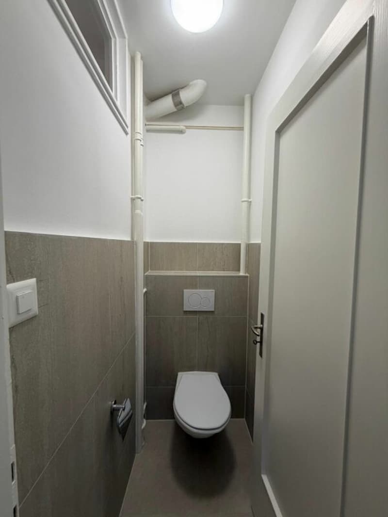 Schönes modernes 4,5-Zimmer-Apartment zur sofortigen Miete! (12)
