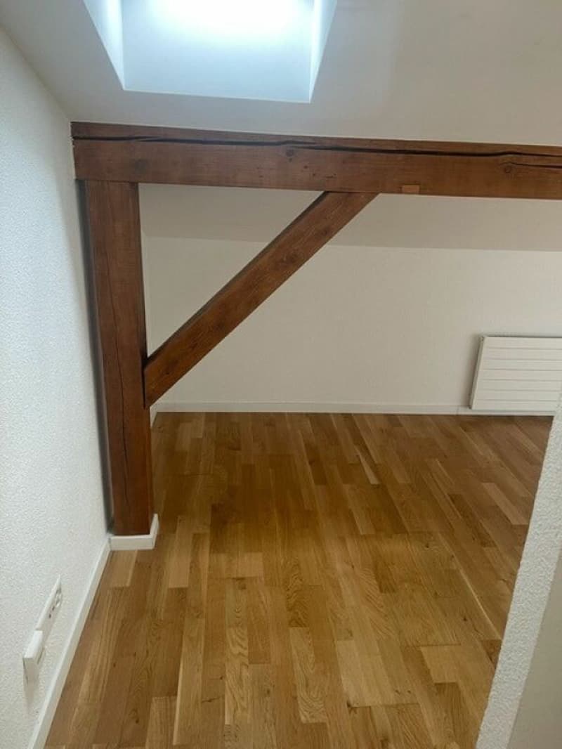 Modern and charming attic apartment! (4)