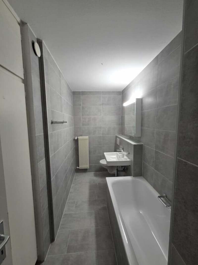 Newly renovated 3.5-room apartment (2)