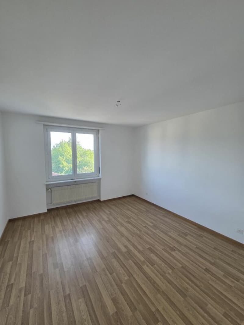 Newly renovated 3.5-room apartment (11)