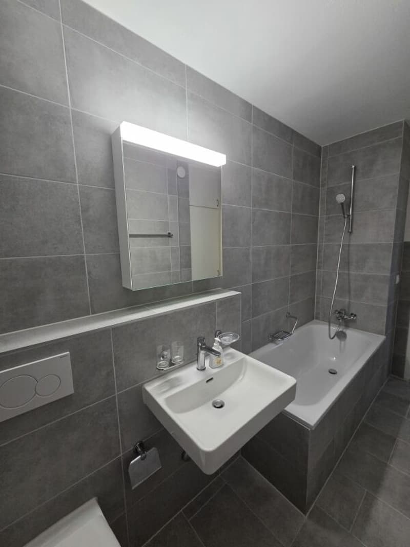 Newly renovated 3.5-room apartment (3)