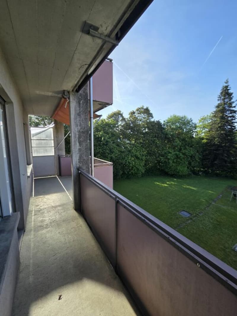 Newly renovated 3.5-room apartment (14)