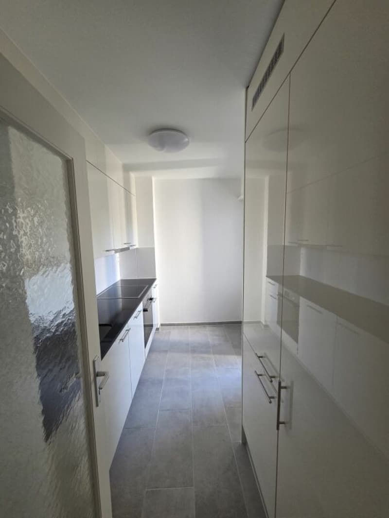 Newly renovated 3.5-room apartment (4)