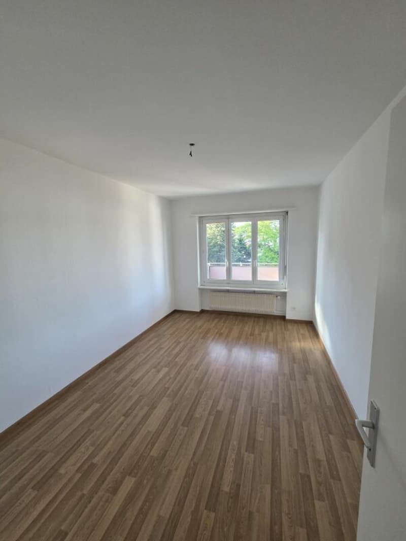 Newly renovated 3.5-room apartment (10)