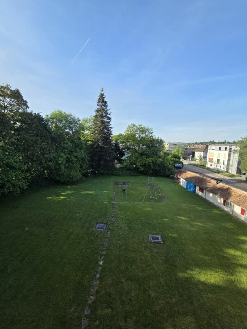 Newly renovated 3.5-room apartment (13)