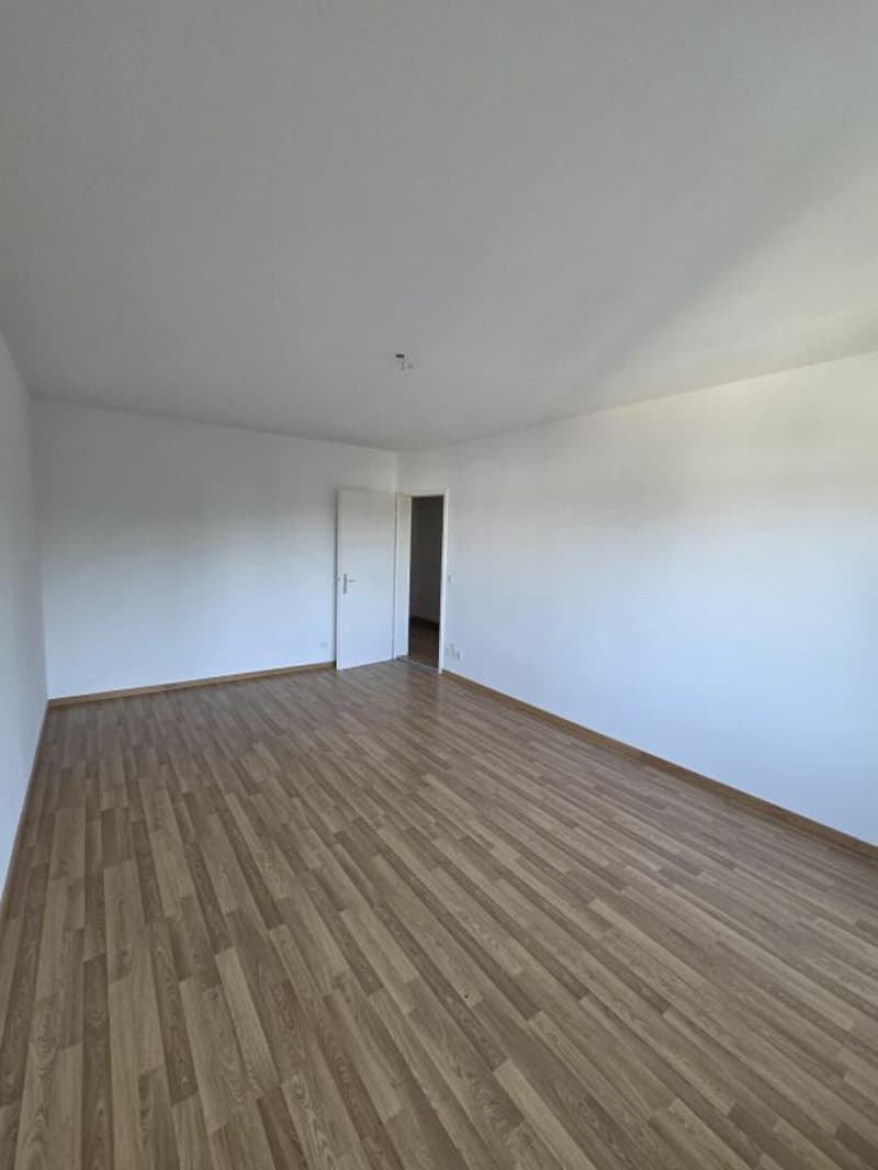 Newly renovated 3.5-room apartment (9)