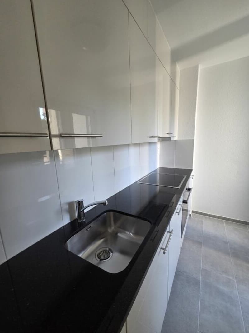 Newly renovated 3.5-room apartment (6)