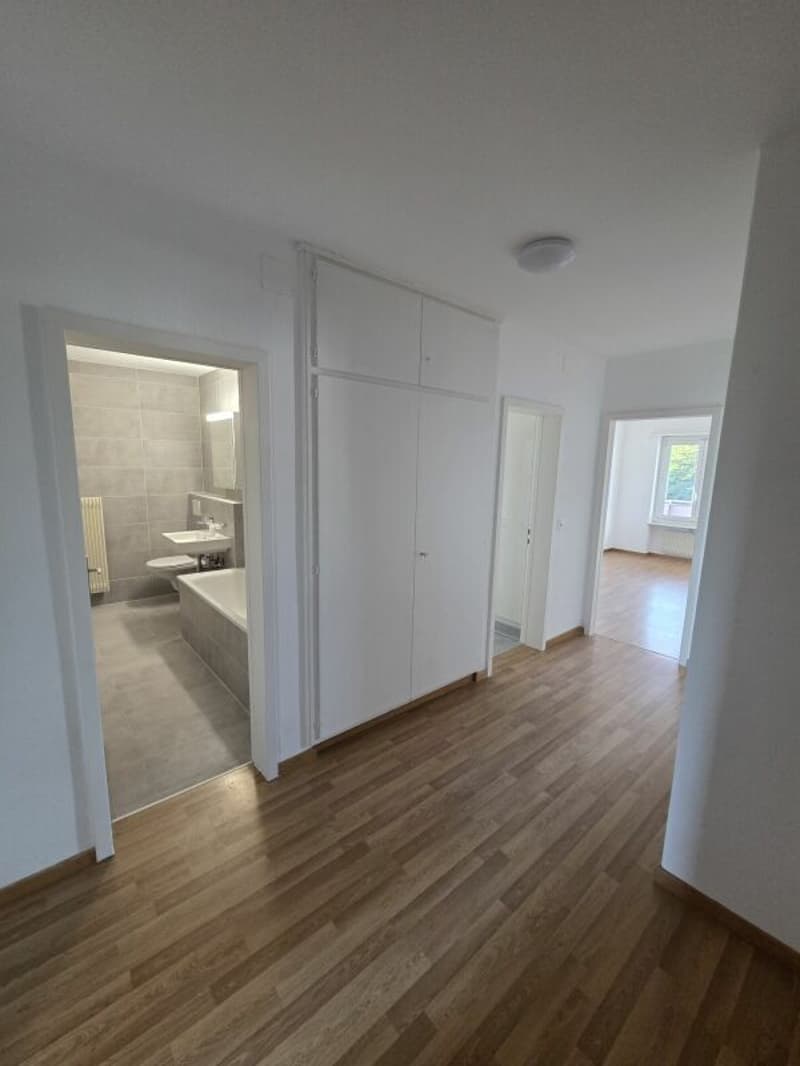 Newly renovated 3.5-room apartment (1)