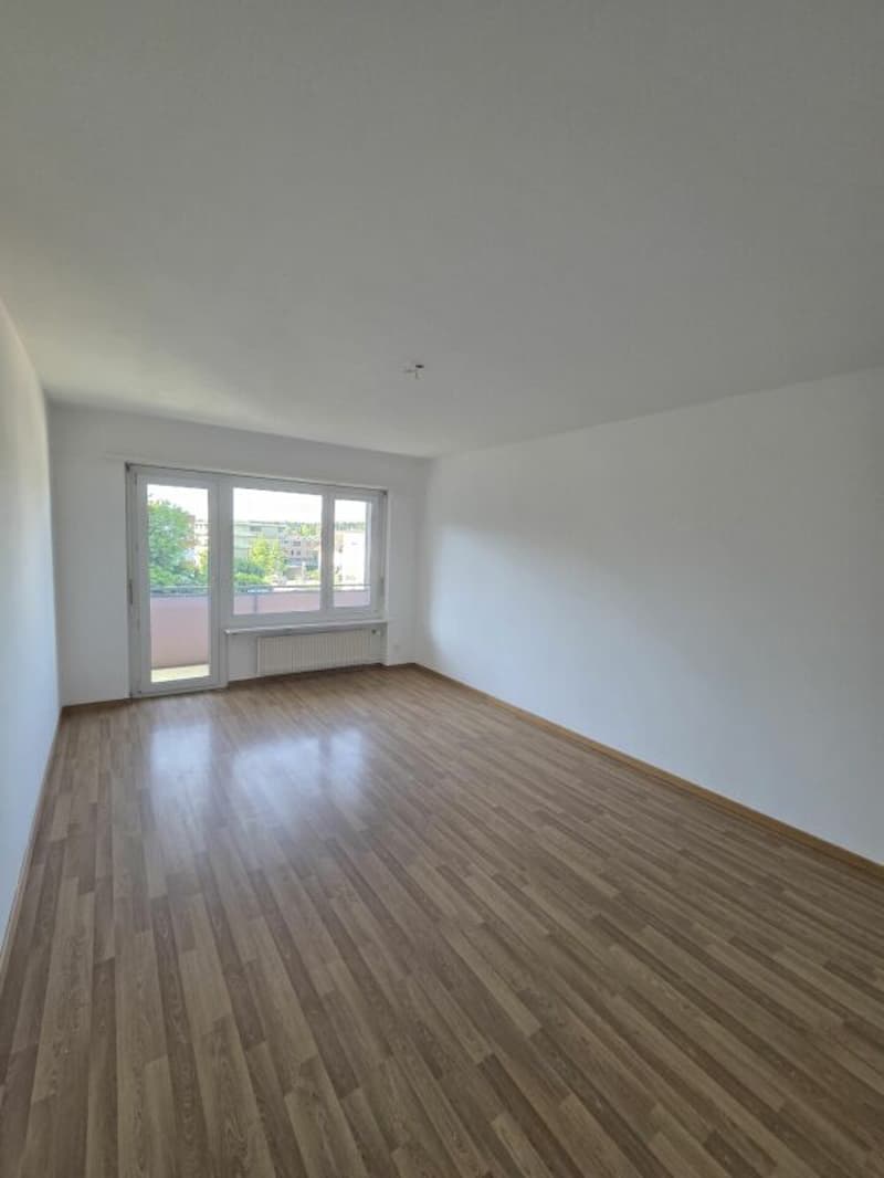 Newly renovated 3.5-room apartment (8)