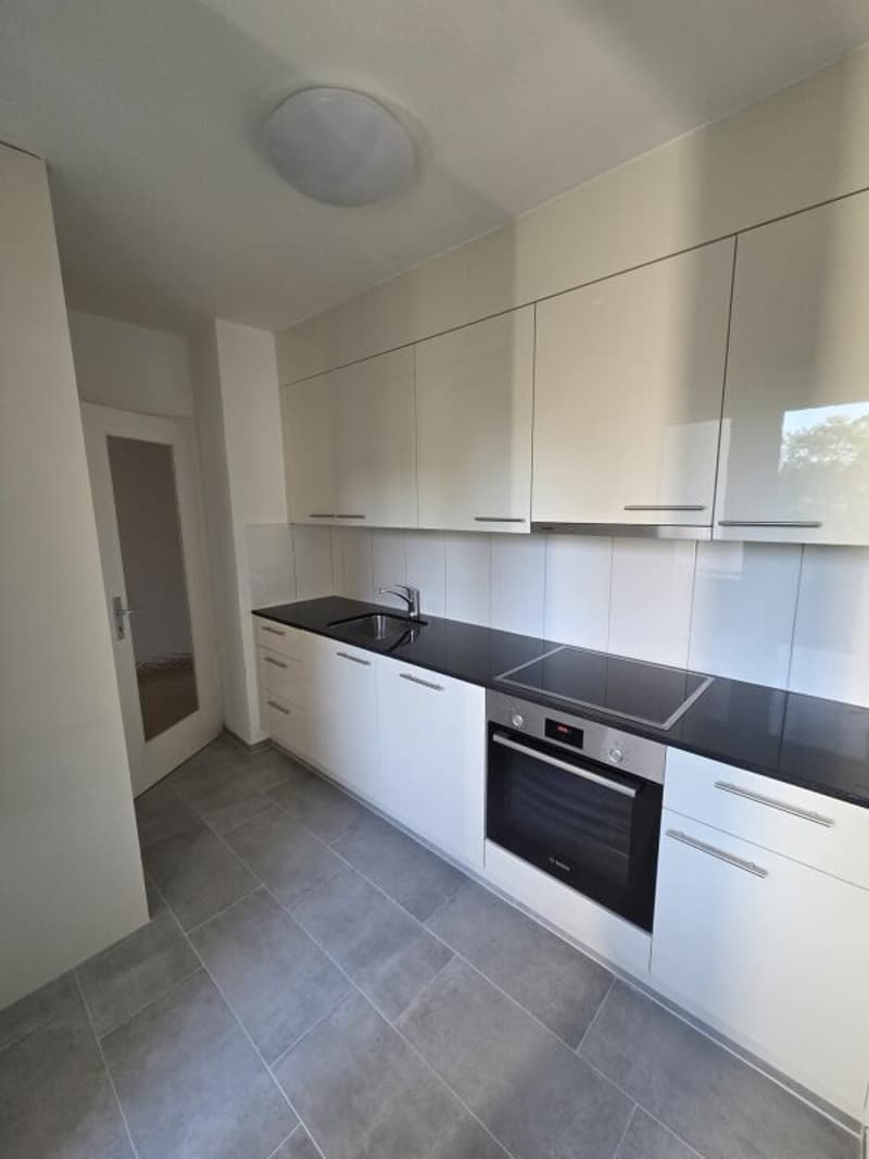Newly renovated 3.5-room apartment (5)