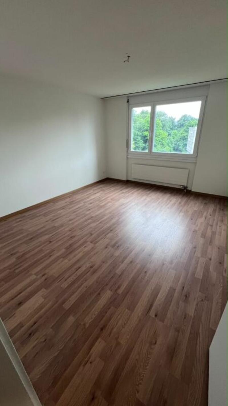 schöne helle 2 1/2 Zimmer Wohnung (4)