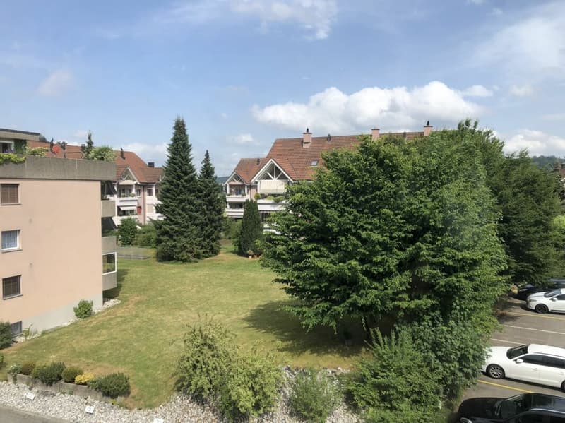 3,5 locali 1° piano Cercasi subaffittuario (10)