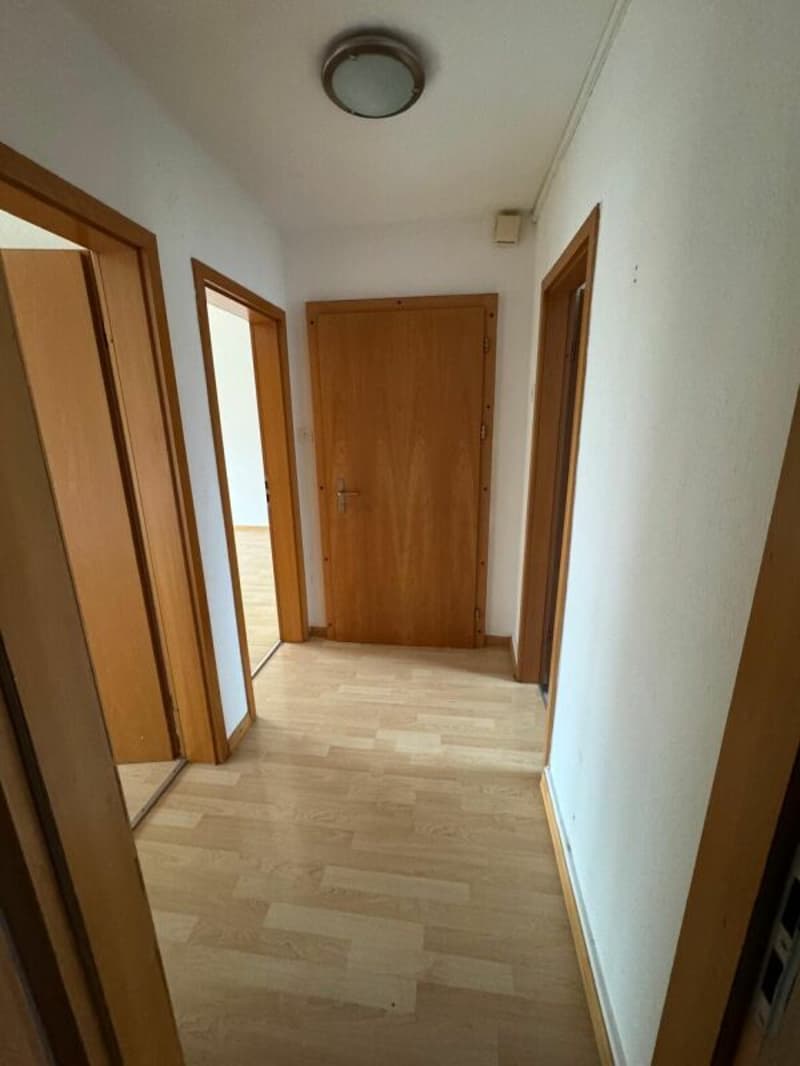 Ampio appartamento di 2.5 locali con stile (2)