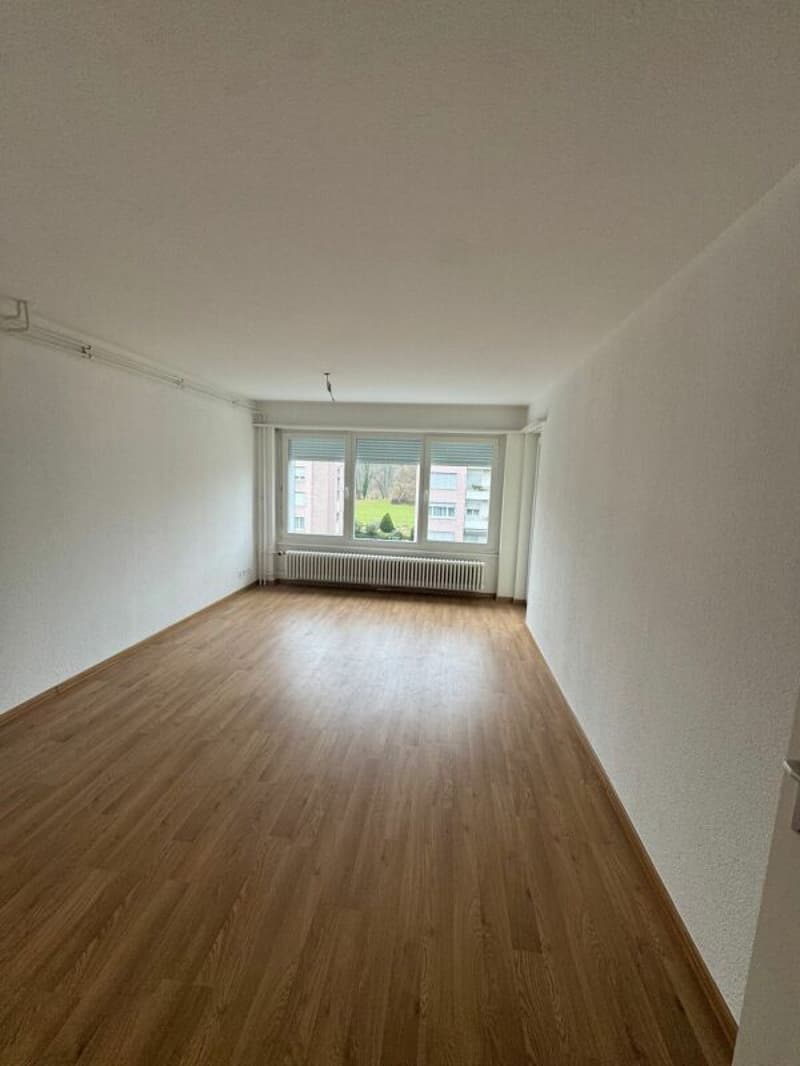 Appartamento 4.5 locali, 3° piano, ascensore, piscina (4)