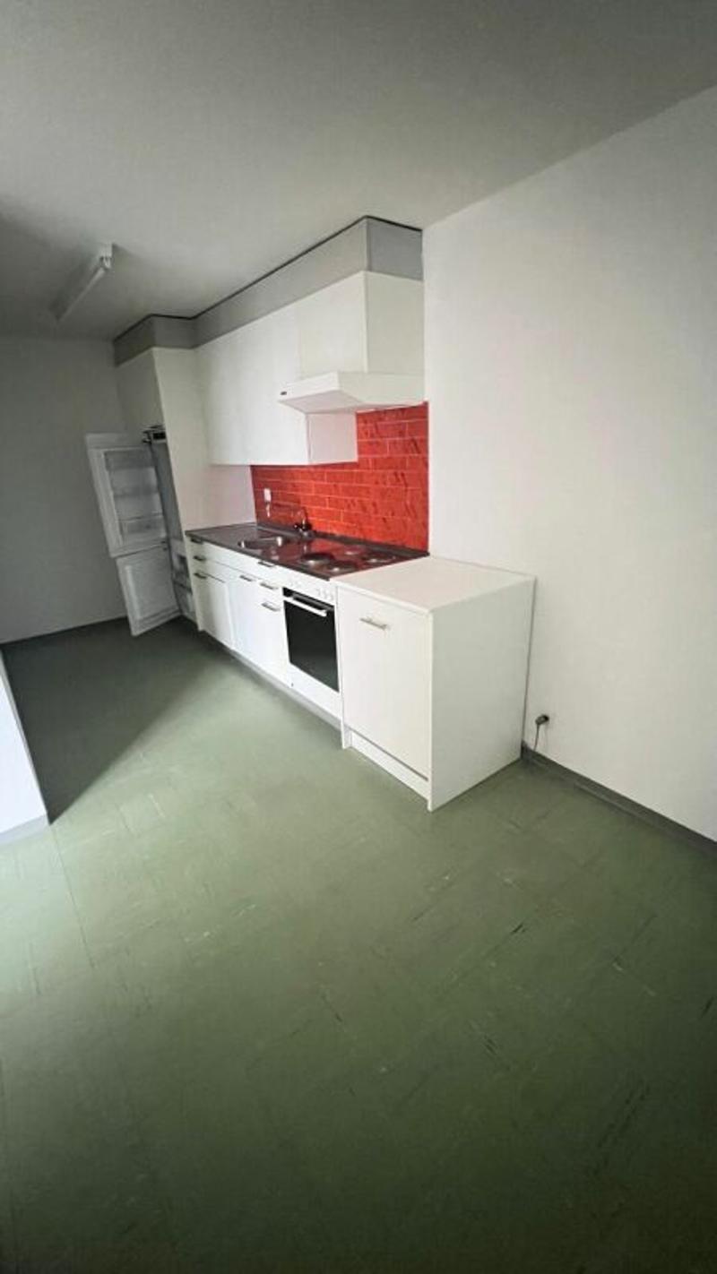 Beautiful 3 1/2 old building apartment (5)
