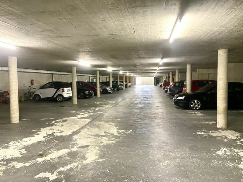 Quartiere Moneral App. 110 - 2,5 locali moderno (16)