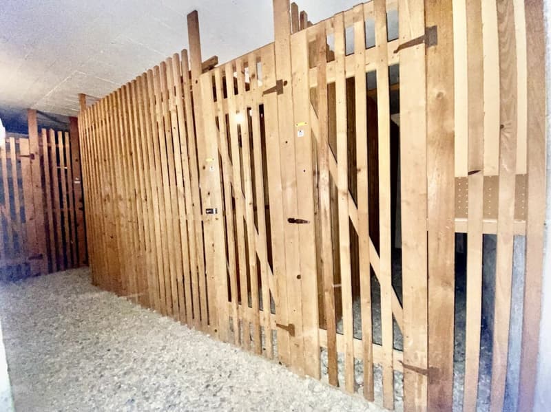 Appartamenti di 2,5 locali in Via General Guisan 11 - Balerna (12)